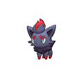 Zorua