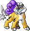 Raikou