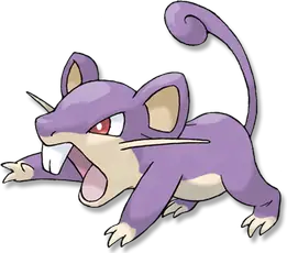 Rattata