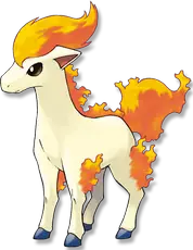 Ponyta