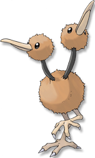 Doduo