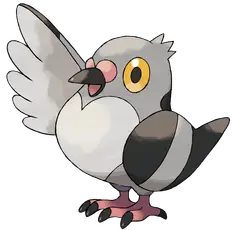 Poichigeon